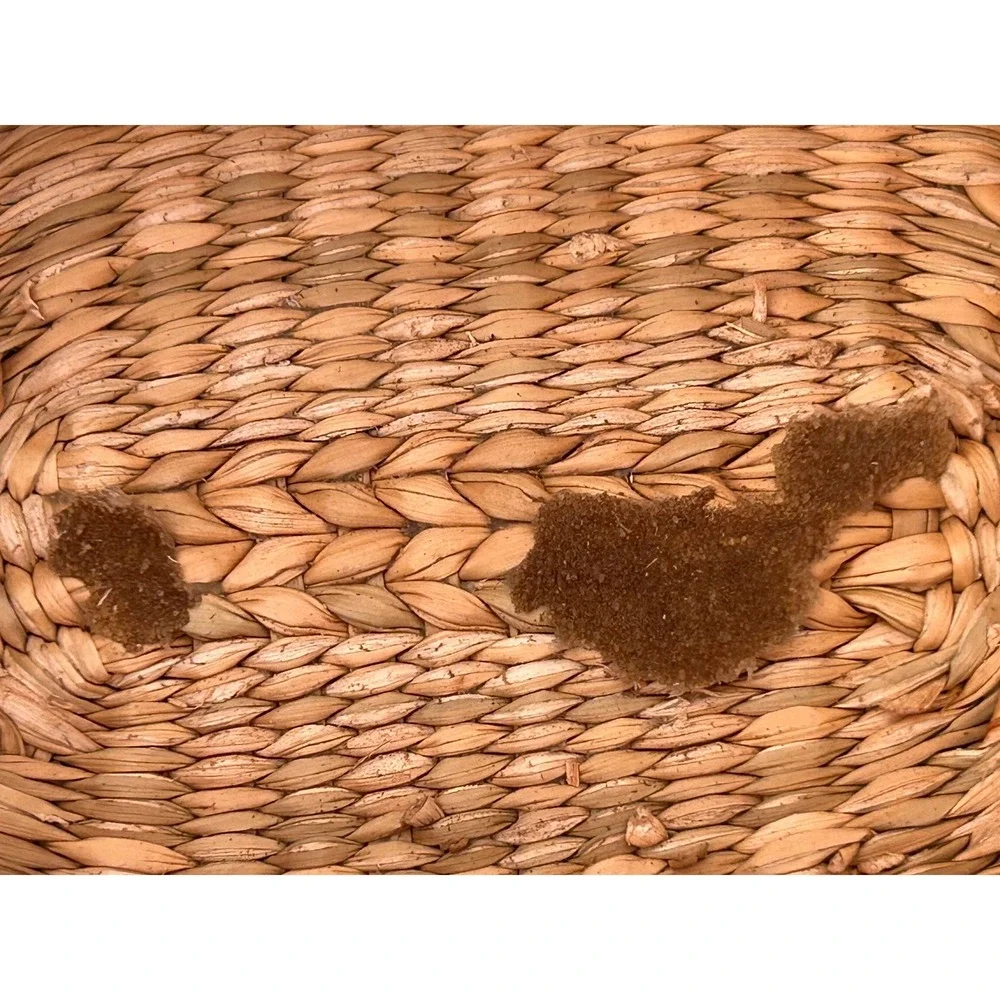 Vintage Oval Woven Wicker Basket with Lid Boho Trinket Box Natural Storage